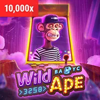 Giới thiệu quyền lợi VIP bj66